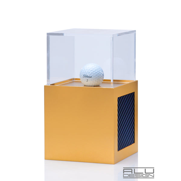 Baseball Display Case