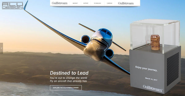 Baseball Display Case